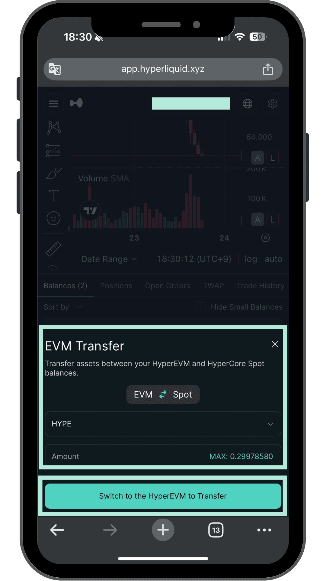 EVM Transfer画面 HyperEVMからSpotへHYPEを移す入力